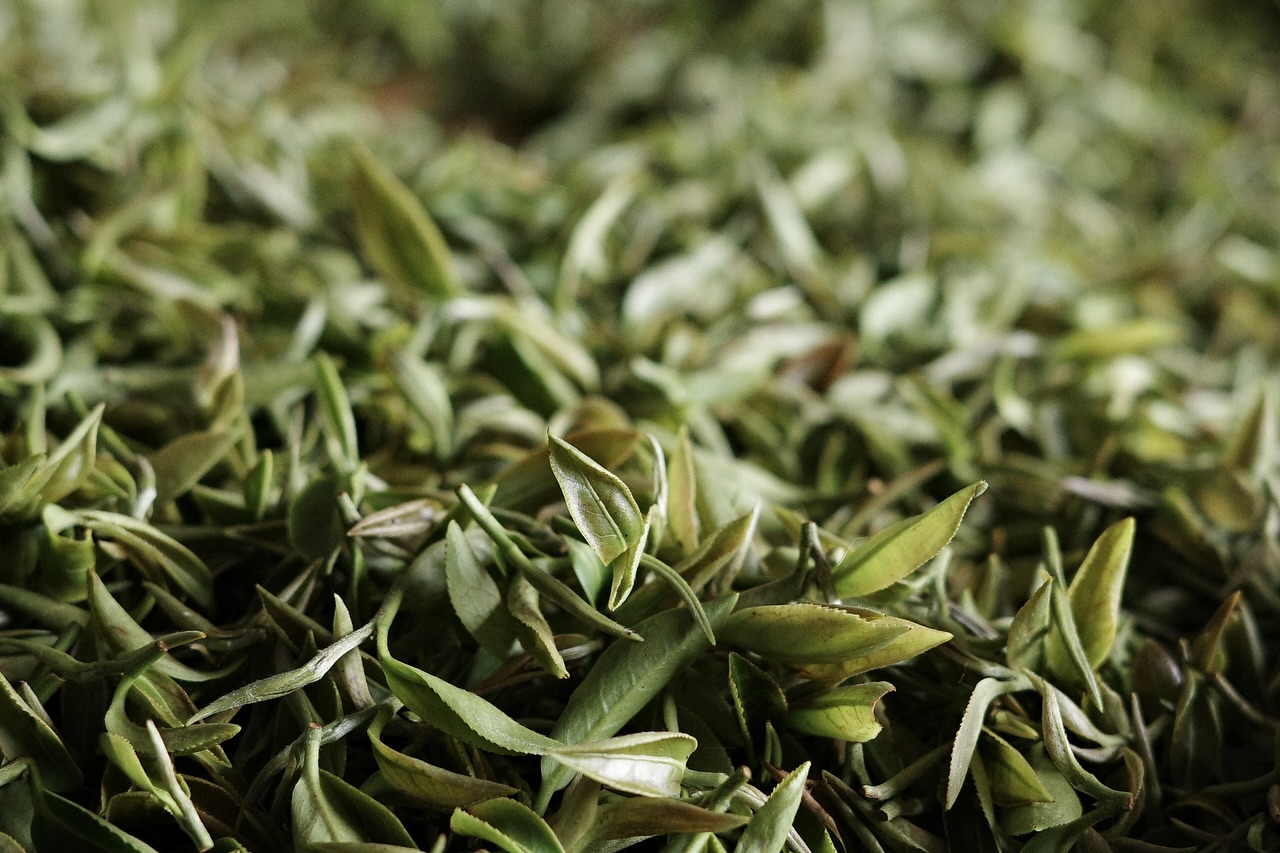 台茶17號白鷺品種 東方美人茶 - 熟果香 堅果可可香 50g包裝 - 乘興院 X 徐耀良茶園 特選批次:圖片 4