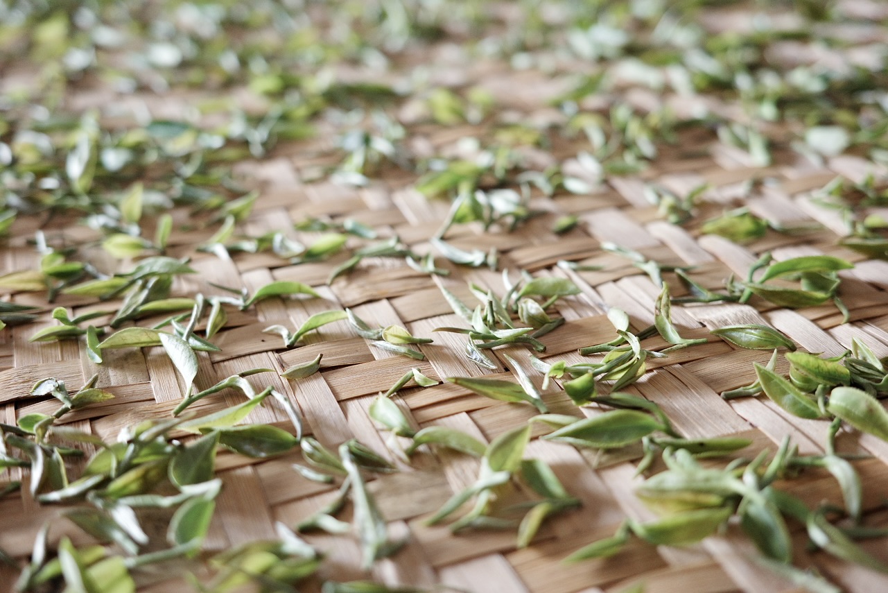 台茶17號白鷺品種 東方美人茶 - 熟果香 堅果可可香 50g包裝 - 乘興院 X 徐耀良茶園 特選批次:圖片 5